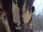 0_d3f04_2999cdb6_S.jpg