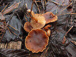 0_d3f55_f321b381_S.jpg