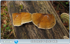 0_1276f0_74ff85fd_orig.png