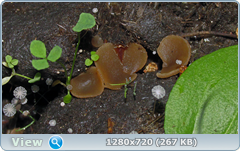 0_1092ce_825f1036_orig.png