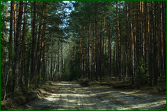 0_e3056_f4cff6aa_orig.png