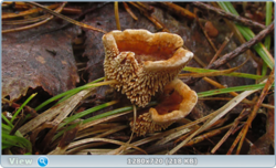 0_110679_6a3ea3b6_orig.png
