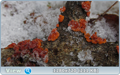0_1158a9_4ee8e521_orig.png