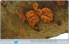 0_f6e5a_f3cb3c56_orig.png