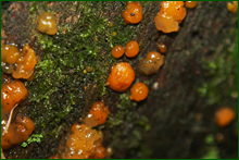 0_e9cb4_86f706b_orig.png