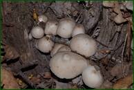 0_ef67d_263b6d4f_orig.jpg
