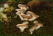 0_f57be_4e2c3d9f_orig.jpg
