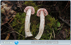 0_1105b5_545df2b6_orig.png