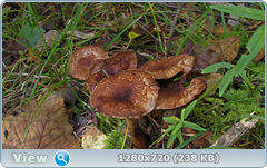 0_112af0_f17eb9b4_orig.png