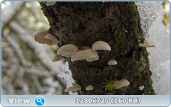 0_115837_acdfcadb_orig.png