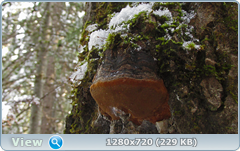 0_115877_dac16434_orig.png