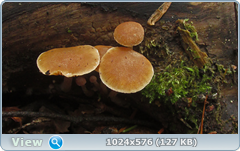 0_127696_2d525764_orig.png