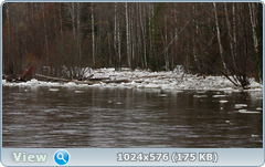 0_1379a3_174cc6d9_orig.png