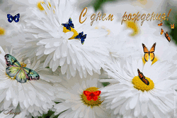 97676482_babochki.gif