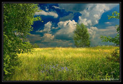 22856543__mg_2429.jpg