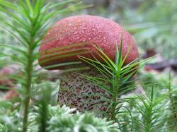 f_17922815.jpg
