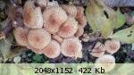 0e59429ff9268100fe7b38509a854eaa.jpg
