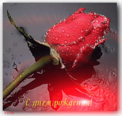 277906371.gif