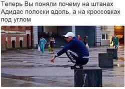 11018399.jpg