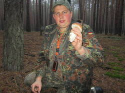 vJSeV.jpg