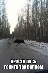 podborka_vecher_10.jpg