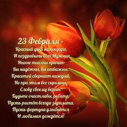 23fevralya-357.jpg