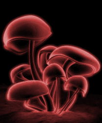 Animated%20Mushroom-205802.gif