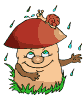 s6298.gif