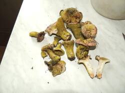 dscn1940_346.jpg