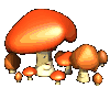h24100.gif