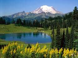 alpine-scenic_-washington.jpg