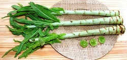 Салат спаржевый Уйсун (Lactuca asparagus)