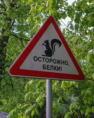 42327120521_1d983347dd_m.jpg
