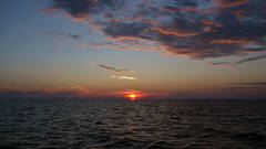 42658661105_529d709b22_m.jpg