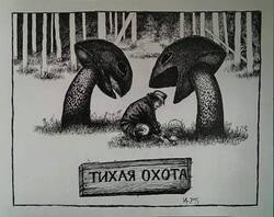 960x762 px