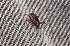 41210224601_fd24c142aa_o.png