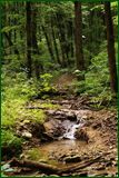41931172351_689f6a00f1_o.png