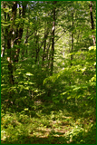 26892240517_f1cc85c23c_o.png