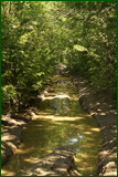 42105399612_1e31f349b4_o.png