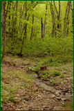 40748671435_3f1d6131a4_o.png