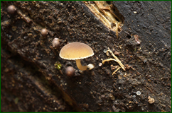 43470511351_a75c2f0832_o.png