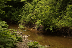 42075285402_8d856eef9c_o.png