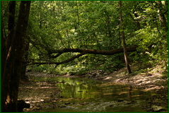 41931050251_e3bb8ec7c7_o.png