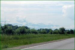 41829166064_6bdec37781_o.jpg