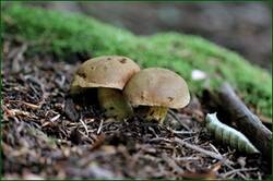 41006975990_65ef7a6988_o.jpg