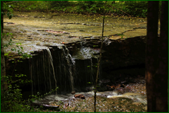 42240118255_e78b138d74_o.png