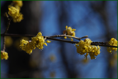 40841909991_f9d9cffba5_o.png