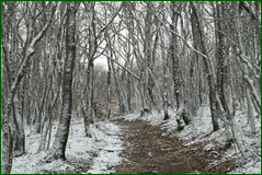 45849324275_0a10505a71_o.png