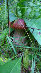 IMG-20190714-WA0018.jpg