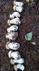 IMG-20190714-WA0026.jpg